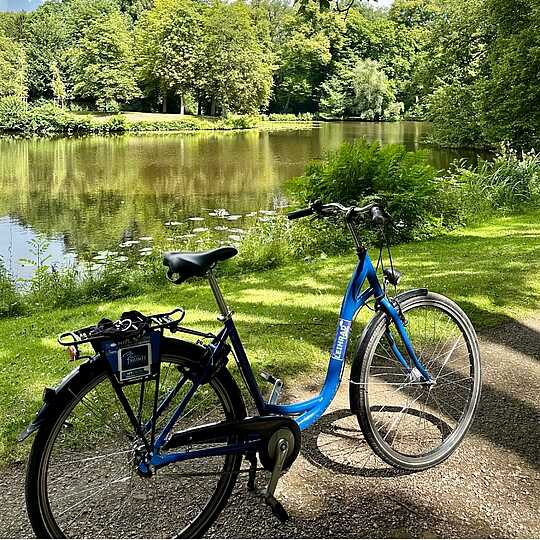 Blaues Fahrrad steht vor einem See im Grünen