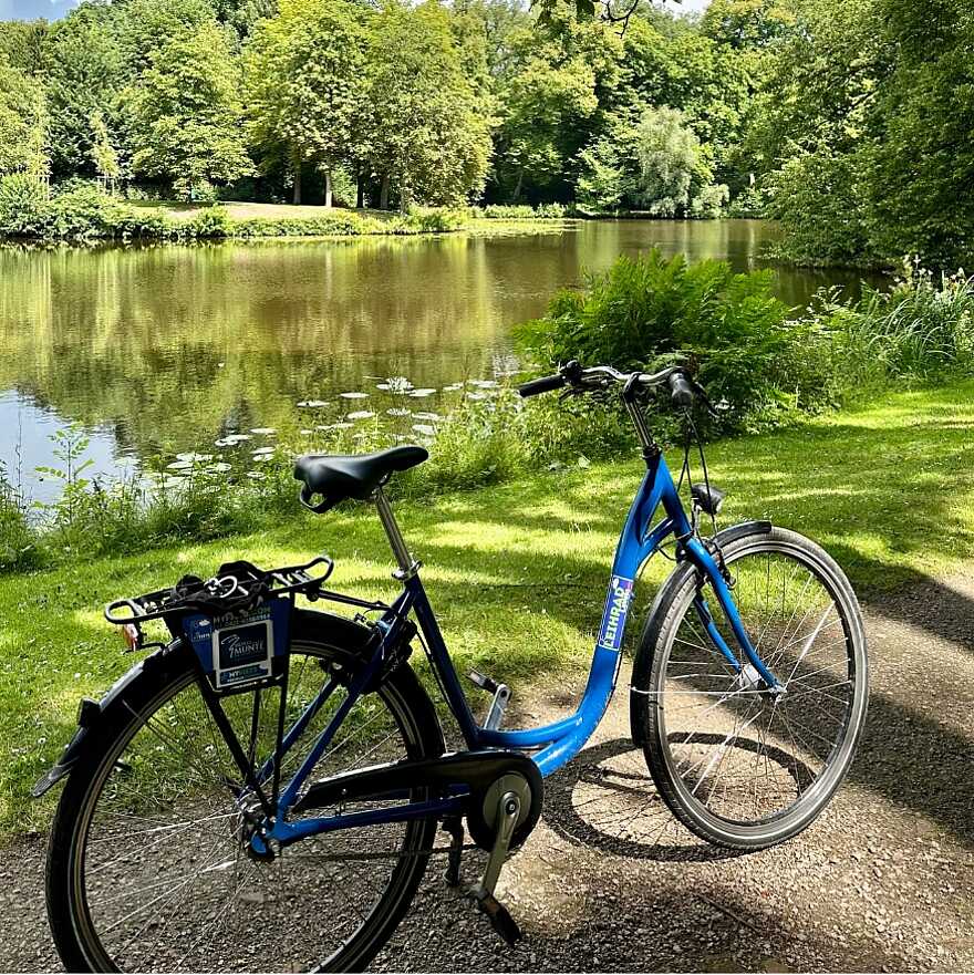 A blue bicycle stands in the countryside in front of a lake