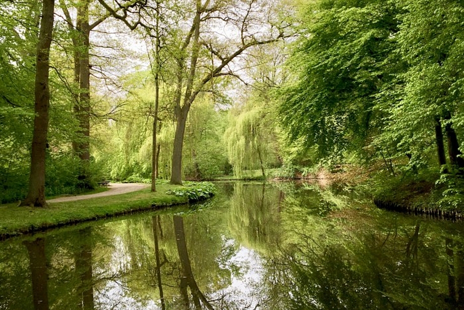 See im Bürgerpark Bremen zwischen viel Natur