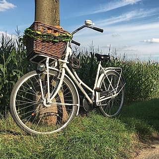 Hollandrad vor einem grünen Feld