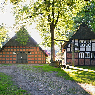 Drei alte Reetdachhäuser mit einem Vorplatz aus Kopfsteinpflaster