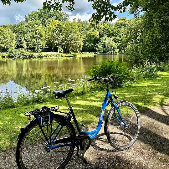 blaues Fahrrad steht vor einem See im Grünen