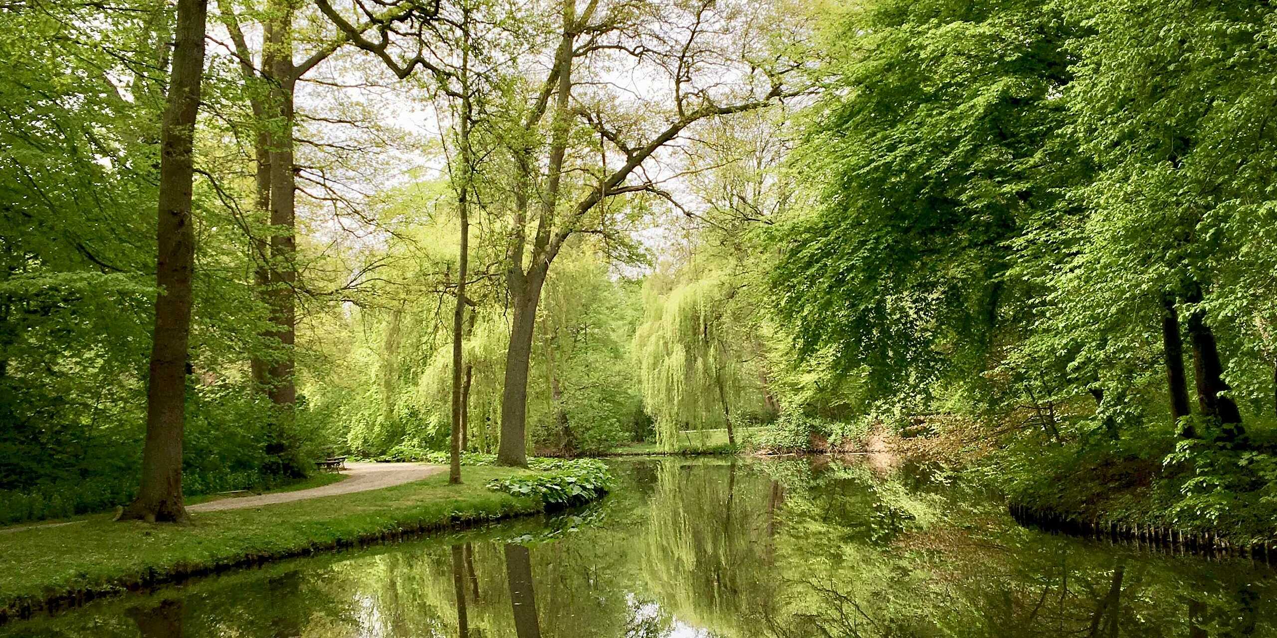 Waldbaden im Bürgerpark Bremen mit Blick auf Laubbäumen und kleinem See