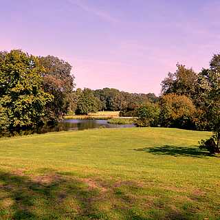 Grüne Wiese mit einzelnen Bäumen und einem kleinen See, umgeben von dichtem Wald unter blauem Himmel.
