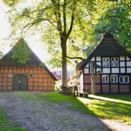 Bauernhäuser mit Reetdach