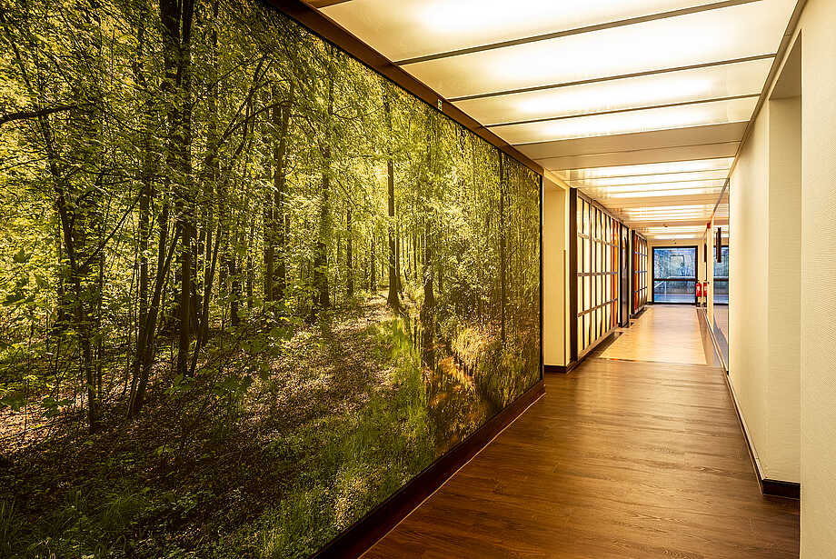 Corridor with forest pictures on the wall and view to the pool