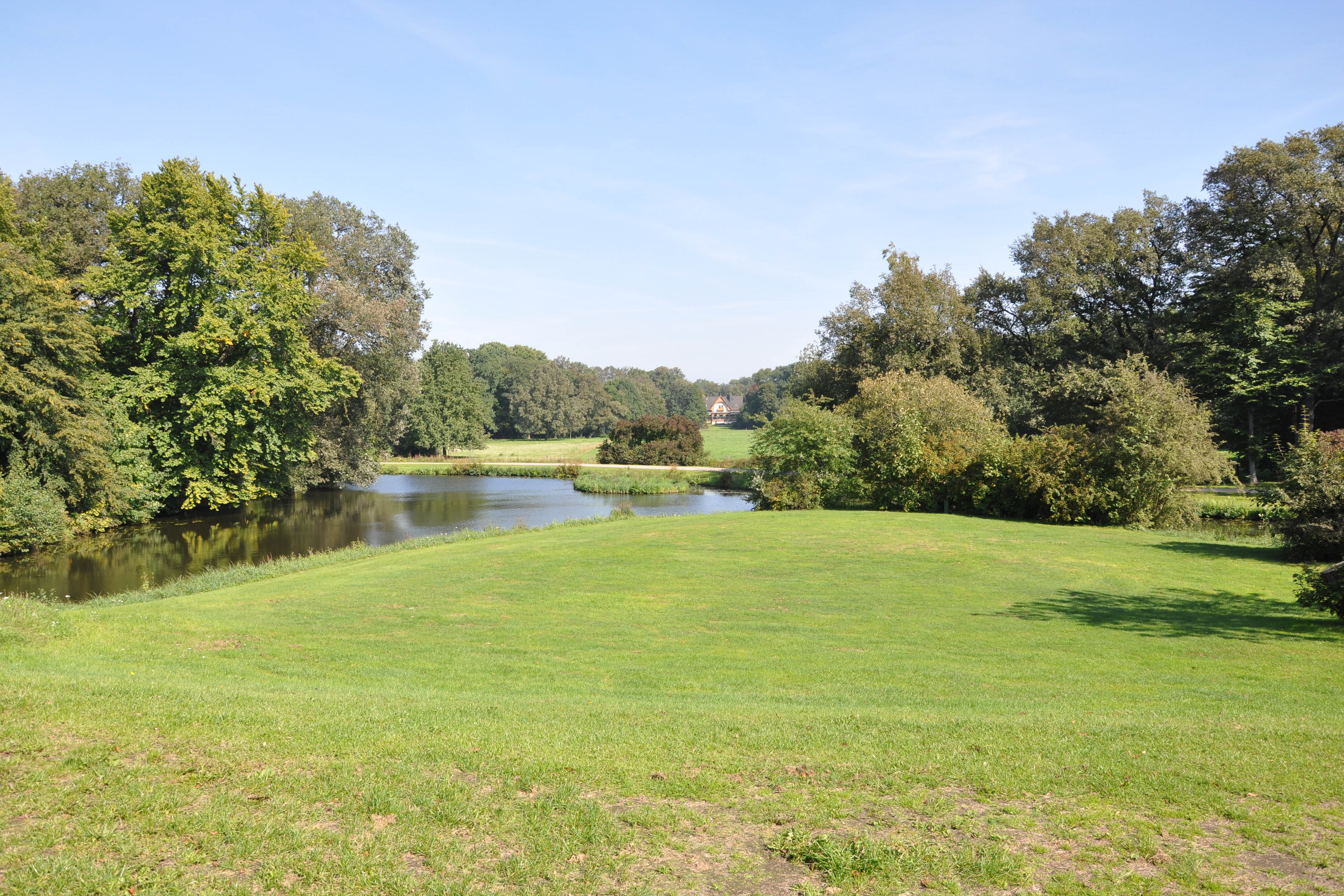 Grüner Stadtwald mit Blick auf einen See